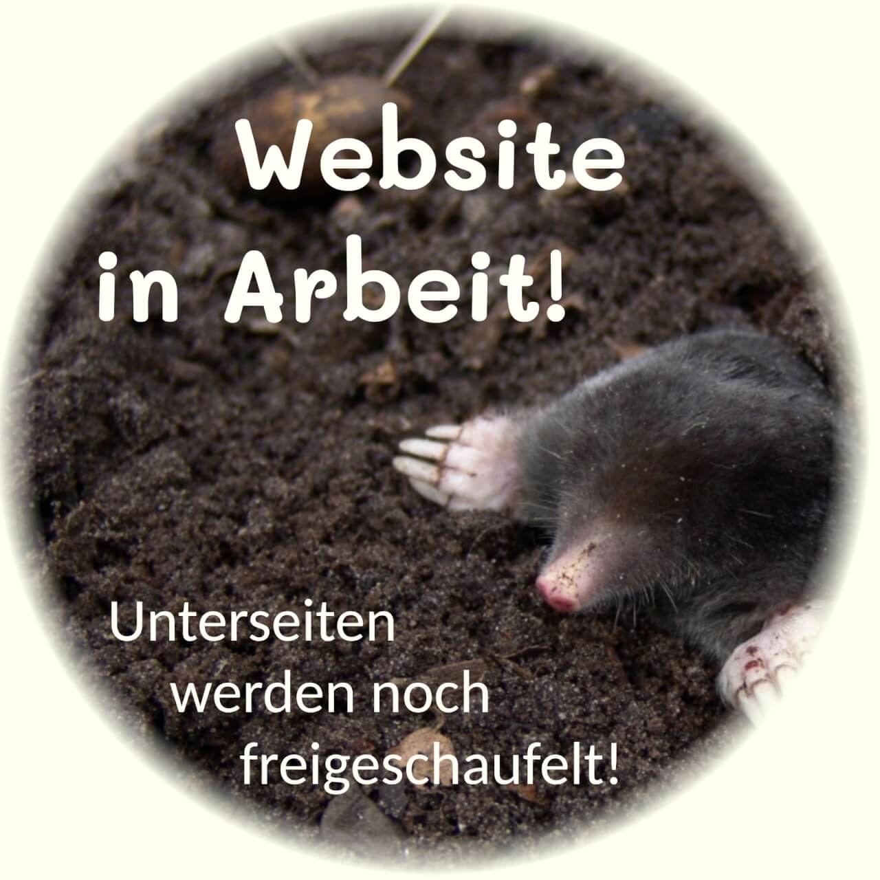 Ein Maulwurf gräb sich aus der Erde. Text: Website in Arbeit! Unterseiten werden noch freigeschaufelt!