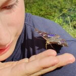 Ein Kind betrachtet einen Schmetterling, der auf seiner Hand sitzt.