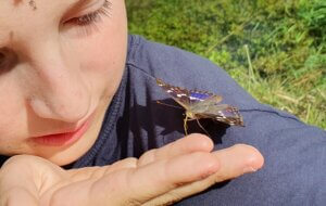 Ein Kind betrachtet einen Schmetterling, der auf seiner Hand sitzt.