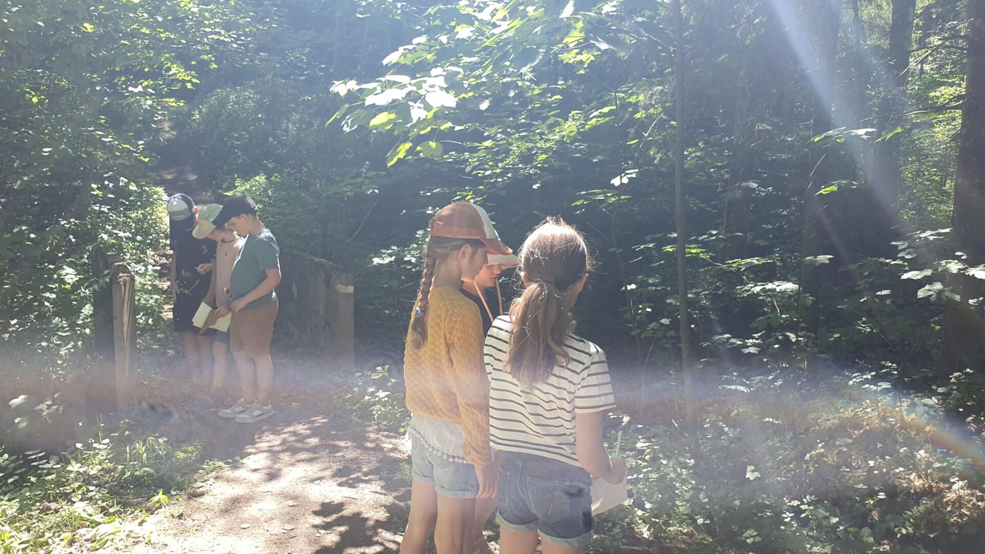 Natur erleben 3