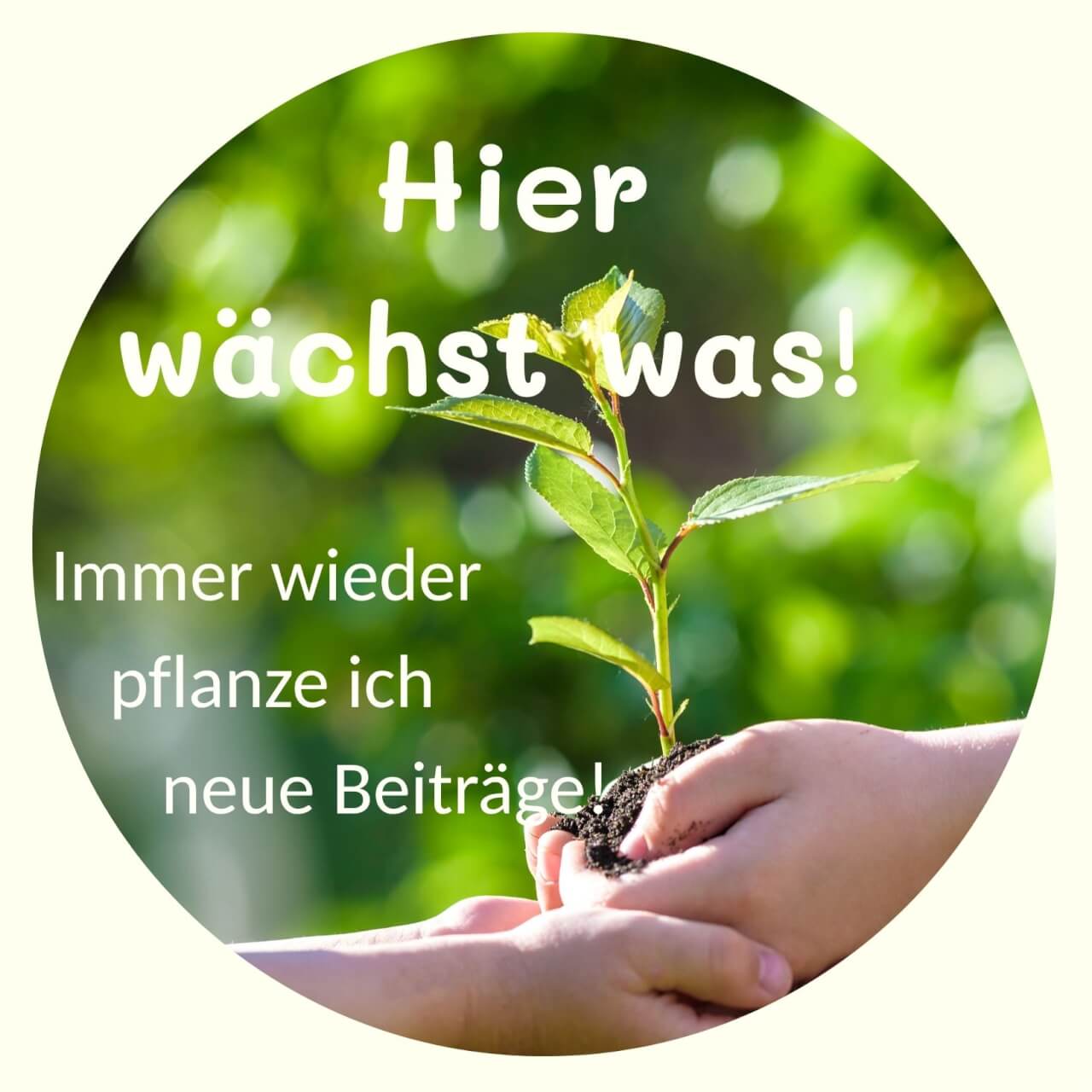 Zwei Personen halten gemeinsam eine kleine Pflanze in ihren Händen.