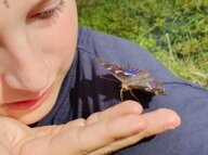 Ein Kind betrachtet einen Schmetterling, der auf seiner Hand sitzt.