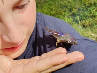 {{brizy_dc_image_alt entityId=