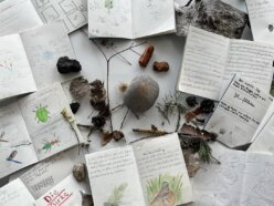 naturgeschichten_zukunftnaturbildung