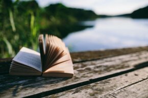 piqsels.com-id-szqua